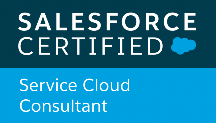 Top Salesforce Testing Services to Ensure CRM Quality in USA