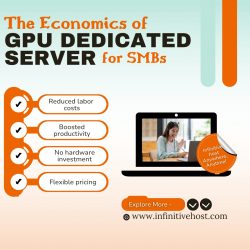 The Economics of GPU Dedicated Servers for SMBs