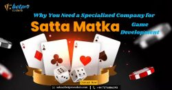 Why You Need a Specialized Company for Satta Matka Game Development