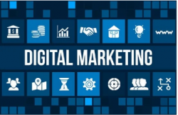 Drive Growth with Expert Digital Marketing and PPC Management Services