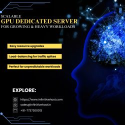 Scalable GPU Dedicated Server for Growing & Heavy Workloads