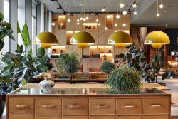 Milieuvriendelijk en duurzaam hotel in Amsterdam