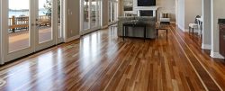 Revive the Elegance of Your Timber Floor