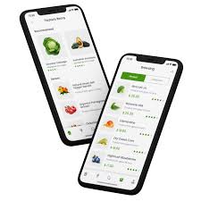 Hire Grocery App Development Company for Online Businesses