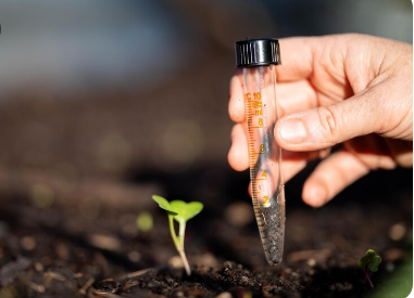 Why You Need a Soil Report Officer in East Melbourne for Reliable LCA Soil Report in Melbourne