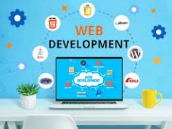 Transform Ideas with Best Website Development Company in Delhi