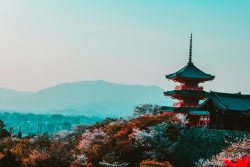 Budget travel Japan under 100$ a day for 2 weeks
