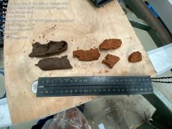 Shaping Smarter Development with Land Capability Assessments in Victoria