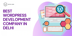 Best WordPress Development Company in Delhi | (Socio Labs)