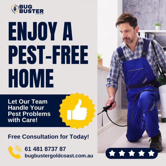 Affordable And Reliable Termite And Pest Control Solutions