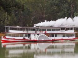 Paddle Steamer Melbourne: A Classic Australia Cruise Experience from Mildura