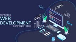 Find Web Development Company in Delhi NCR for Custom Sites