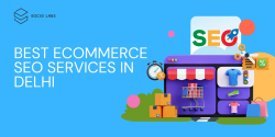 best ecommerce seo services in delhi, ecommerce seo in delhi