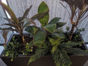 There Are Very Few Décor Moves As Smart As Faux Plants