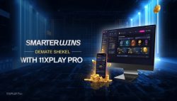 11xplay pro smart Wins
