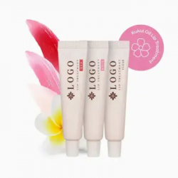 Promotional Lip Balms at Wholesale Prices for Pocket-Friendly Marketing