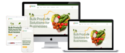 Unlock Growth with Online Business Solutions and Ecommerce Website Design Sydney