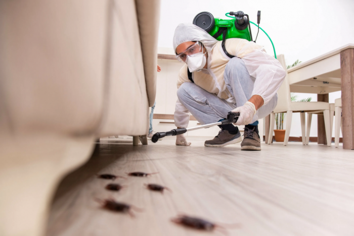 “Clean, Safe, and Pest-Free: Your Guide to Rodent & Insect Control”