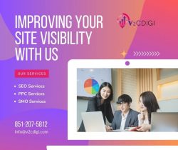 Grow Your Business Online with a Freelance SEO Expert in Delhi