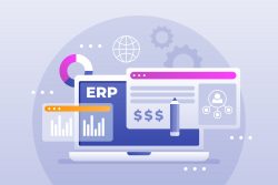 Partner with ERP Software Development Company in India for Business Efficiency