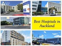 Best Hospitals in Auckland, North Island, New Zealand