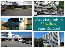 Best Hospitals in Hamilton, Waikato, New Zealand