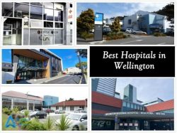 List of Best Hospitals in Wellington, New Zealand