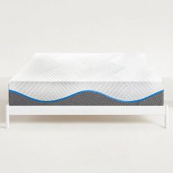 The Essential Mattress Protector
