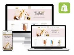 Launch High-Converting Stores With Shopify Website Development Company