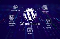 Invoidea Offers The Best WordPress Development Services in India