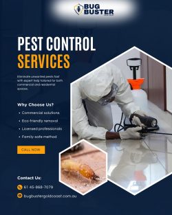 Fast & Affordable Termite and Pest Control Services in Gold Coast