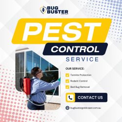 Gold Coast’s Trusted Termite and Pest Control Specialists