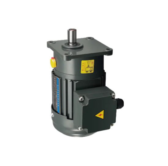 Low Speed Gear Motor Supports Continuous Operation and Reliability