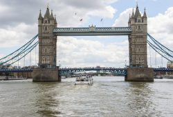Thames River riverboat cruises