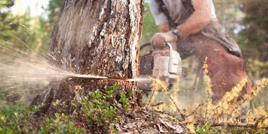 Demolition Services in Live Oak, FL — McCroan’s Land & Tree