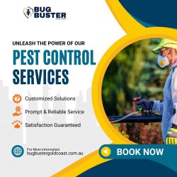 Reliable Termite and Pest Control in Gold Coast