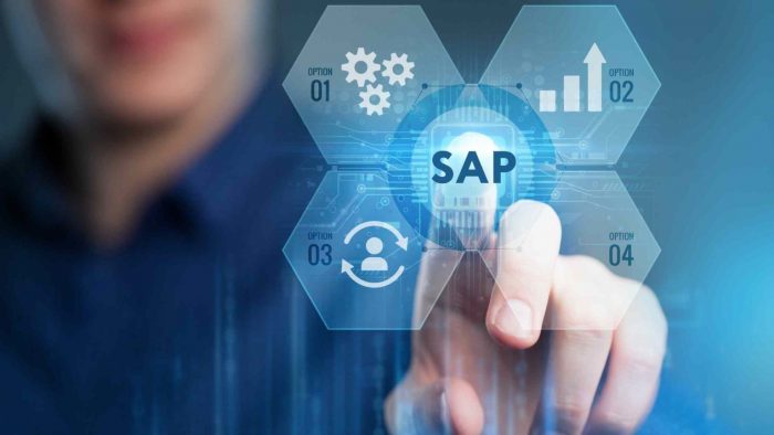 Transform Your Business with SAP Consulting and Support Services in Dubai by SEAL Infotech