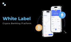 Transform Banking Operations with Our White Label crypto Banking Platform