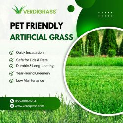 Artificial Grass for Pets – Safe, Clean & Pet-Friendly Turf