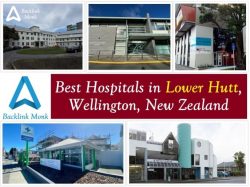 Best Hospitals in Lower Hutt, Wellington, New Zealand