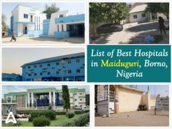 List of Best Hospitals in Maiduguri, Borno, Nigeria