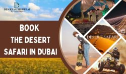 Book The Desert Safari in Dubai