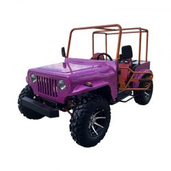 Mini Jeep: Compact Adventure, Classic Style