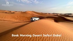 Book Morning Desert Safari Dubai