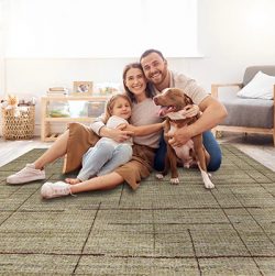 Why You Should Buy Carpet Rugs Online: Comfort Meets Convenience