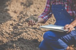 Expert Site Classifications in Melbourne: The Importance of Comprehensive Land Capability Assessment