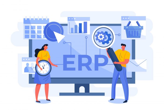 Scalable Business Systems by Best ERP Software Development Company in India