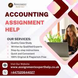 Accounting Assignment Help | Expert Support for Accurate & Plagiarism-Free Work