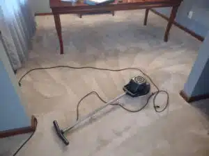 Keeping Your Home Fresh and Clean with All Colors Carpet Clean