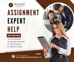 Assignment Expert Help Infographic | Professional Academic Writing Services